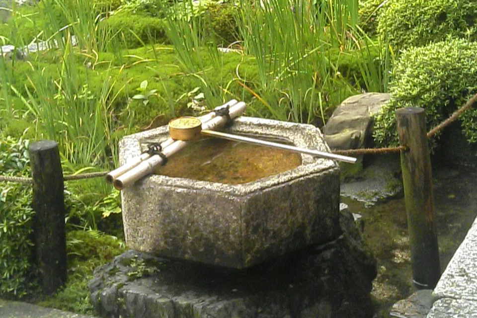 A stone water basin with a bamboo spout set among clipped shrubs and irises beside a paved path in a Kyoto temple garden