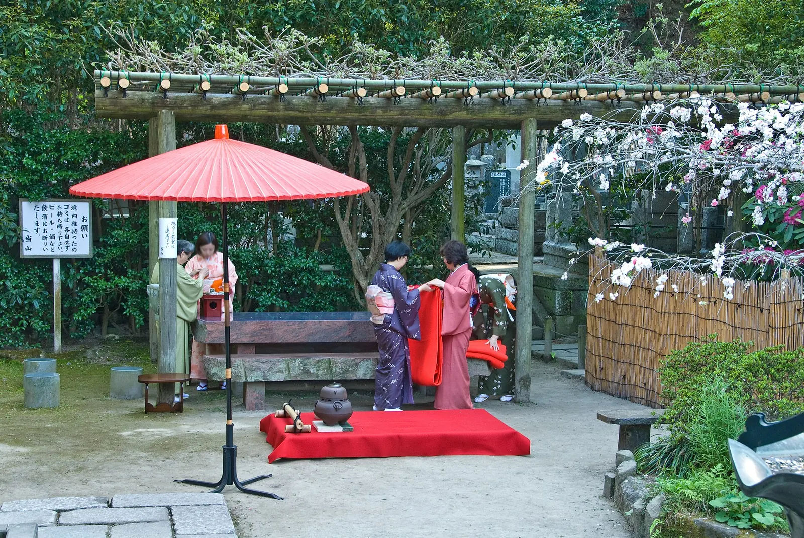 Outdoor tea at Ankokuron-ji, a temple in Kamakura: a red parasol and red mat laid out for tea under a wooden pergola with white blossom, with two women in kimono beside it